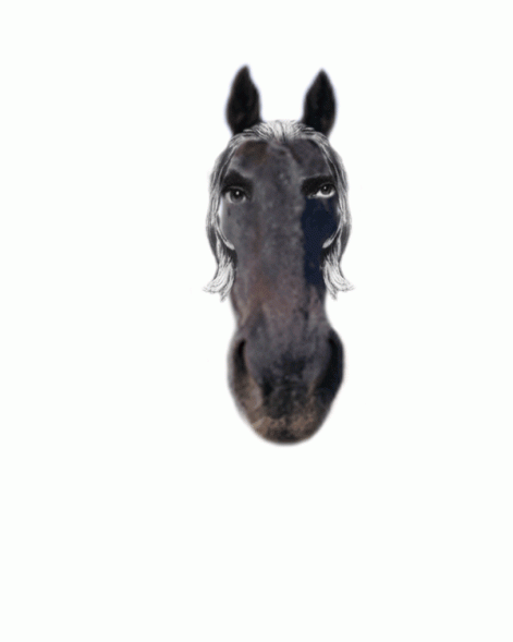 dark_horse_animation.gif
