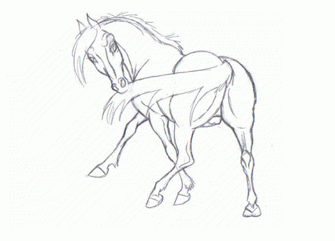 horse_chasing_tail_animation_by_pookyns_5.gif